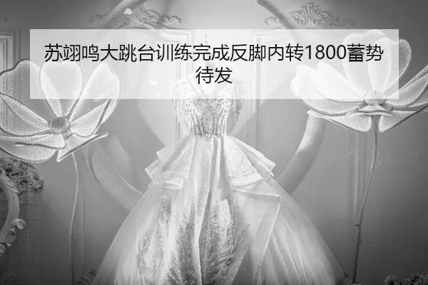 su-yi-ming-da-tiao-tai-xun-lian-wan-cheng-fan-jiao-nei-zhuan-xu-shi-dai-fa-2-696.jpg